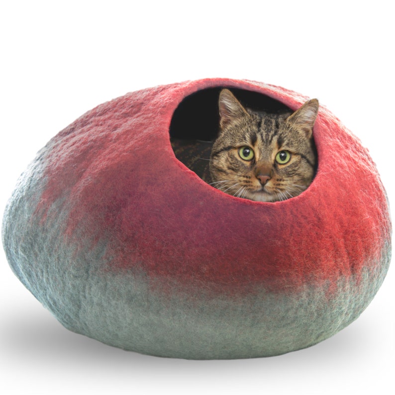 May include: A red and gray felt cat bed shaped like a large, rounded stone. A tabby cat is peeking out of the opening of the bed.