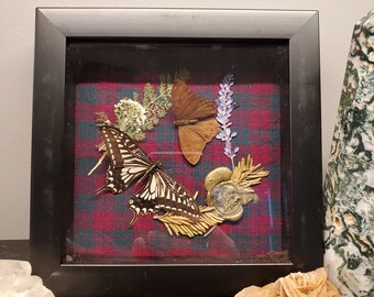 Outlander Themed butterfly frame