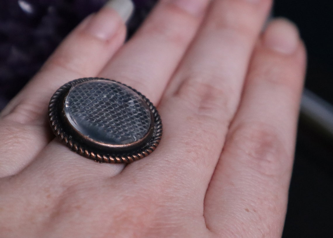 snake shed jewelry / snake skin ring / choker necklace etsy