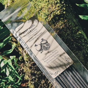Persephone Incense Sticks: Pomegranate, Myrrh & Violet Blend | Lady Noire Art Handmade Incense