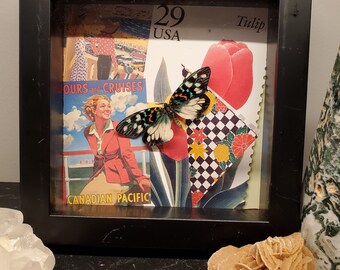 Travel Abroad Butterfly frame