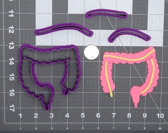 Anatomy - Large Intestine 266-D649 Cookie Cutter Set