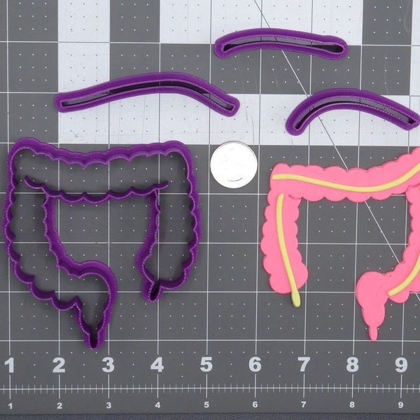 Anatomy - Large Intestine 266-D649 Cookie Cutter Set