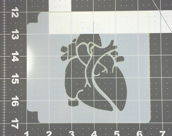 Plantilla de corazón anatómico 100