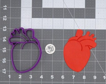 Cortador de galletas con estructura anatómica del corazón 266-L680