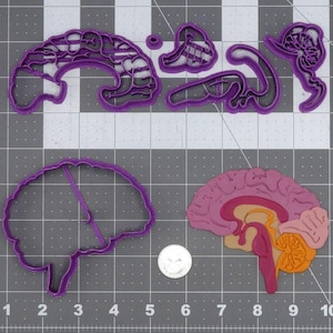 Conjunto de cortadores de biscoitos Brain 266-L237