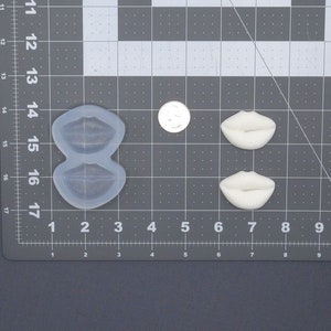 Molde de silicone para lábios 745-049