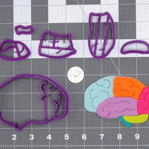 Brain Structure 266-H128 Cookie Cutter Set