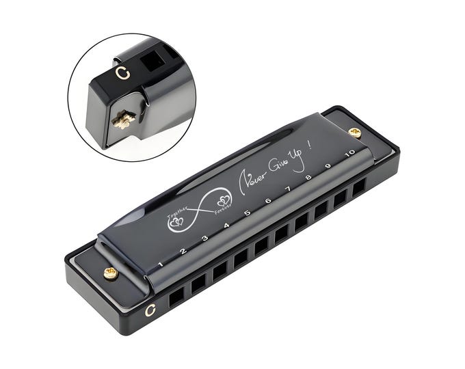 Personalized Harmonica 10 Holes C Key Beginner Custom Stainless Steel Diatonic Harmonica Summer Travel Musician Gift Groomsmen Kids Gifts