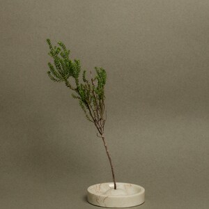 May include: A small green plant with a thin stem in a white marble vase with a round base.