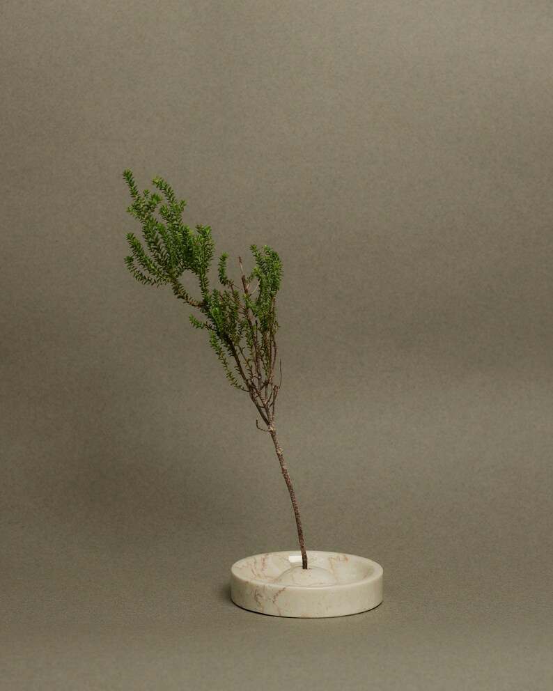 May include: A small green plant with a thin stem in a white marble vase with a round base.