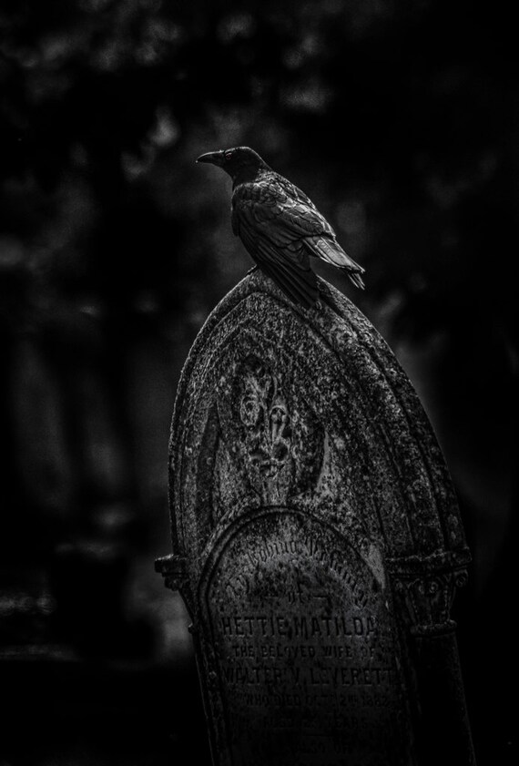 Une Sombre Et Gothique Noir Et Blanc Fine Art Print Etsy Une Sombre Et Gothique Noir Et Blanc Fine Art Print Etsy