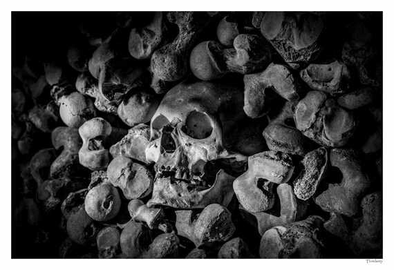 Gothic Art Wall Art Fine Art Photography Human Skull Etsy