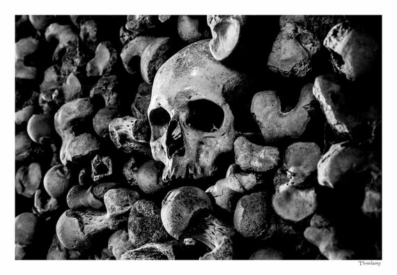 Gothic Skull Wall Art Fine Art Photography Human Skull Etsy