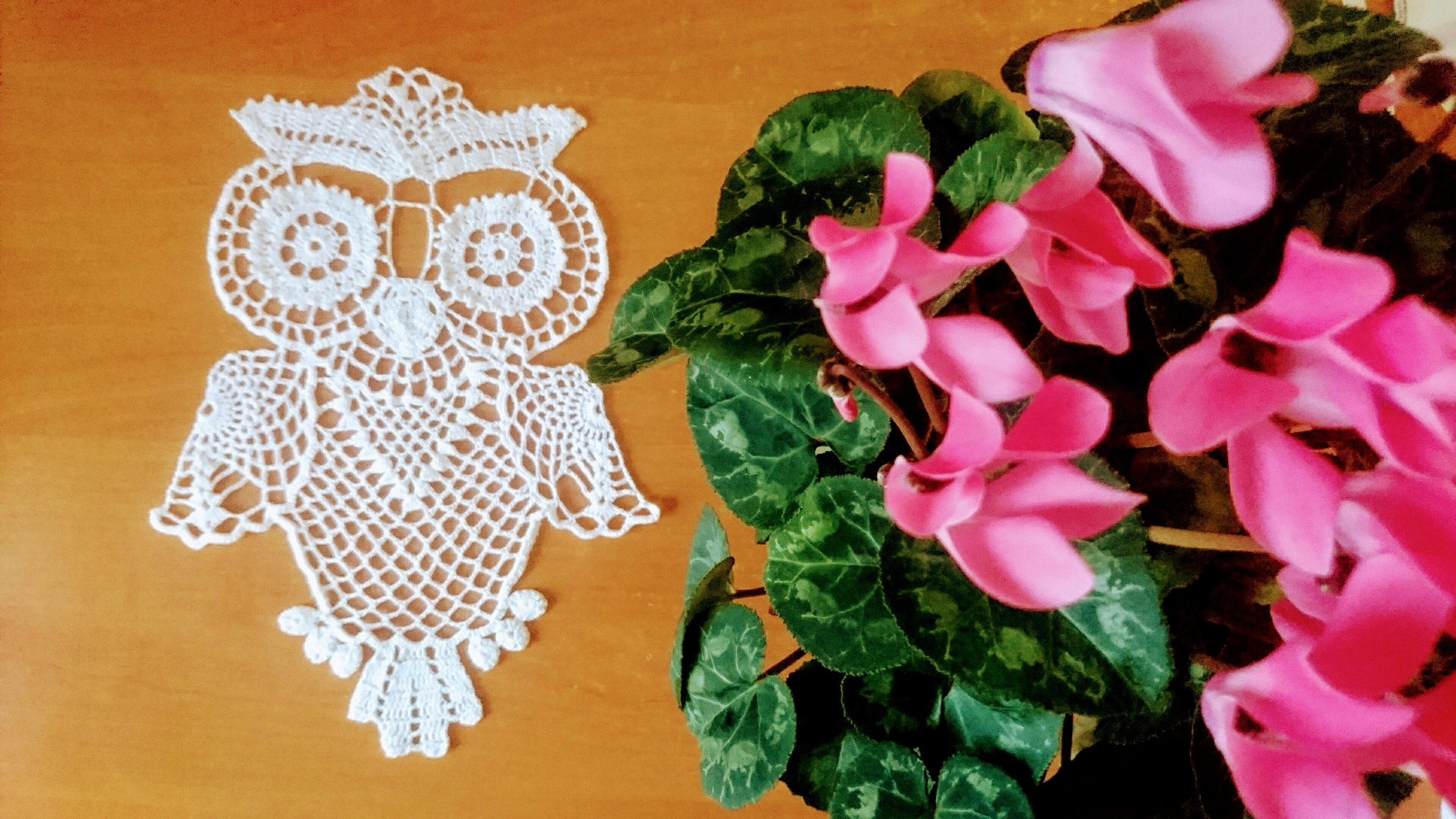 Crochet OWL doily lace wall decor. Delicate home wedding gift Etsy