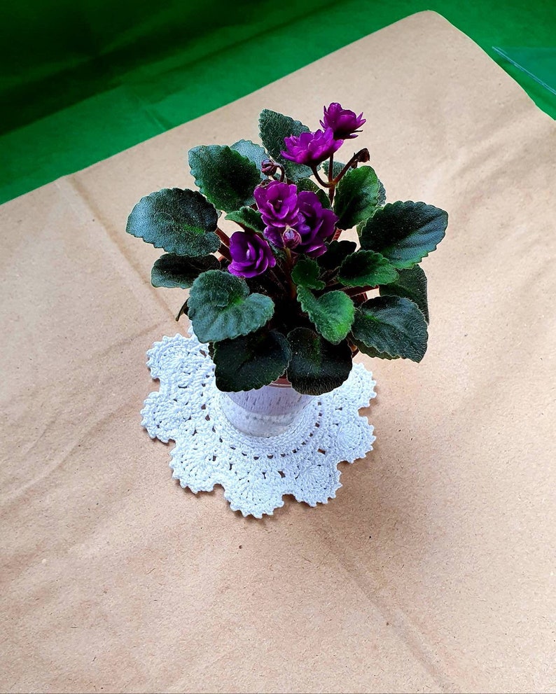 Drink mug coasters cotton lace cup holder. Tiny mini crocheted doily mat boho, country style handmade art image 1