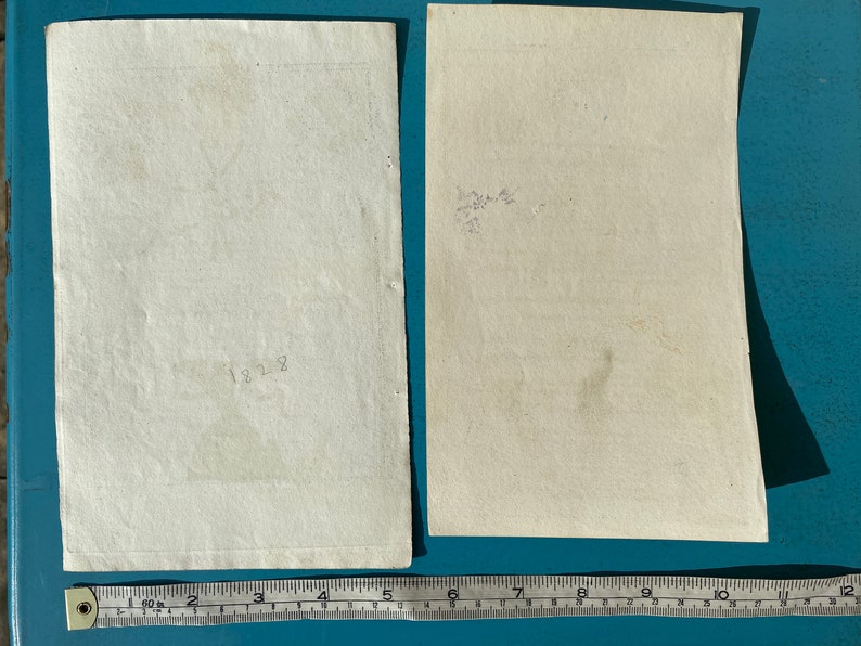 Antique x2 Regency fashion prints c1828 hats bodice hairstyle /'very good condition for age/'