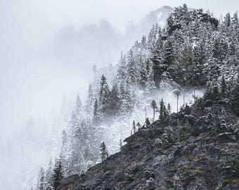 Mountain Pictures, Pictures of Mountains, Mount Rainier, National Parks, Home Art, Fine Art Photography | Spring Snow. Mount Rainier, WA.