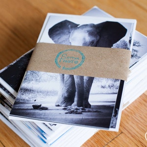 Cartões de elefante, cartões de felicitações caseiros, cartões de aniversário caseiros, cartões de aniversário caseiros, cartões de agradecimento caseiros, fotos de elefantes