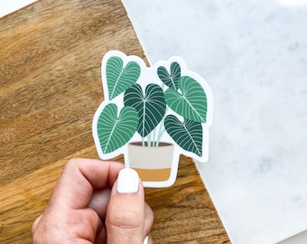 Plant Stickers | Die-Cut Sticker | Plants | Plant Mom | Sticker Shop | Cute Stickers | Trendy Stickers | Hydro Flask Stickers