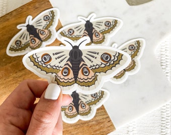 Imperial Moth Sticker | Vinyl Stickers | Aesthetic Stickers | Laptop Stickers | Hydro Flask Sticker | Vinyl Sticker moth | Butterfly sticker