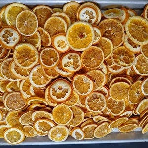 Gallon Bag 200+ Dried/Dehydrated Navel Orange small slices/pieces
