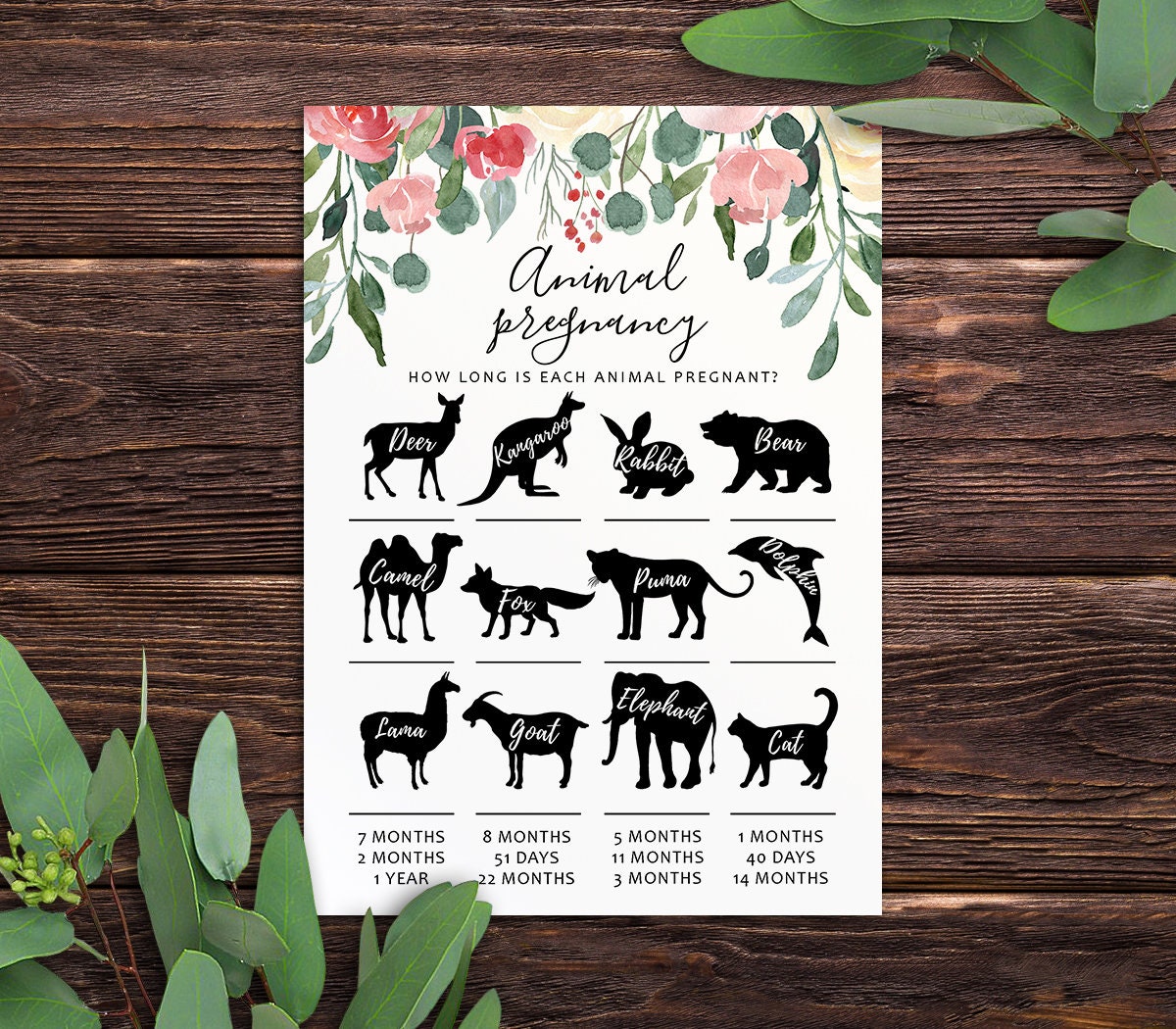 pregnancy guessing game