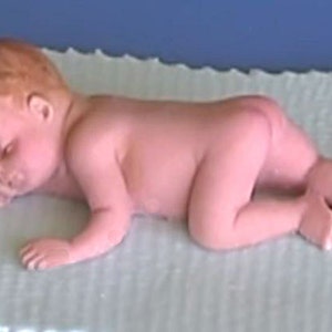 May include: A small, realistic baby doll made of soft, pink plastic. The doll is lying on its stomach with its head turned to the side. The doll has a light brown complexion and closed eyes.