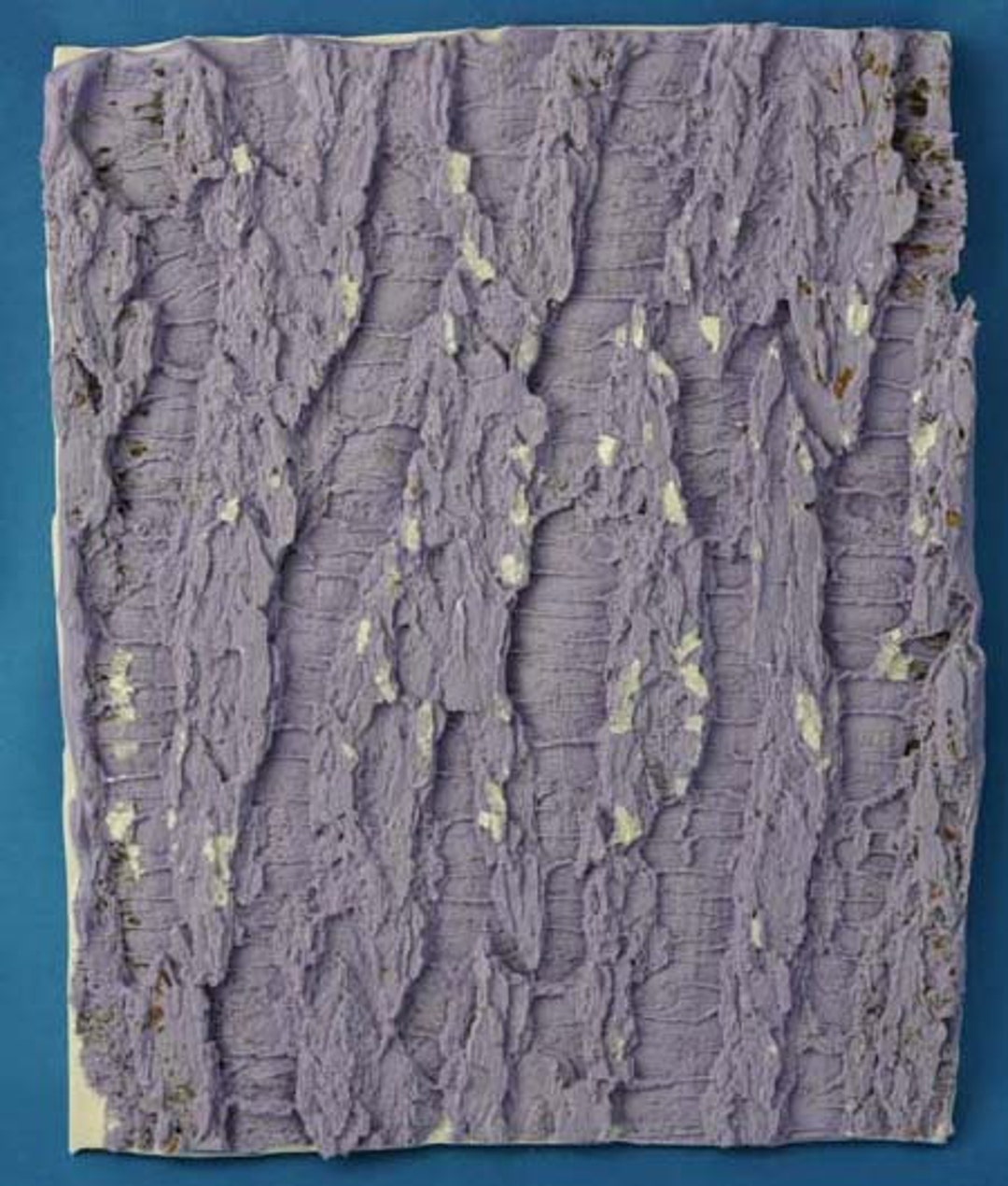 Karen-enhanced Lace Mold by Marvelous Molds 