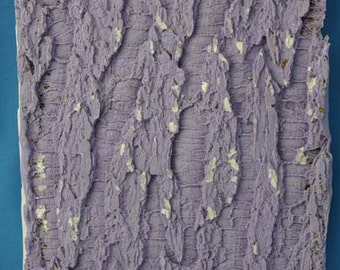 Tree Bark Texture Mat for Fondant or Clay