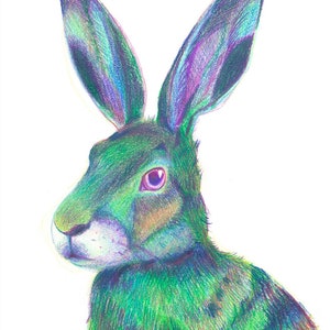 Green Hare Print - Hare Art - Hare Pictures - Hares - Nature Lover Gift Idea - Nature Lover Decoration - Wall Art - Giclée - Nursery Art