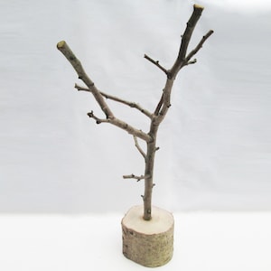 TREE JEWELLRY STAND Handmade English Rustic Natural Branch Stick Wooden Necklace Organiser Display 50cm