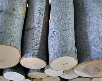 10 x Beech Wood Log Blanks – 220mm Length | Natural Ornamental & Craft Logs