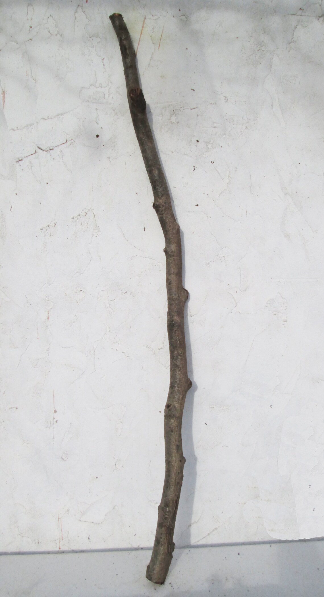 120cm BEECH Natural Tree Crooked Branch Stick for Wood Turning Etsy