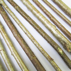 10 x Hazel Wood Craft Sticks – 40cm Natural Branches for Wands, Ogham Staves, Art, Rustic DIY & Wood Decor Whittling