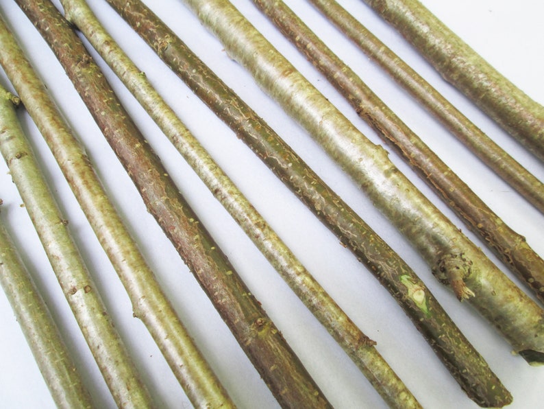 Bark Detail: Hazel Wooden Sticks 40cm (Bundle 10)