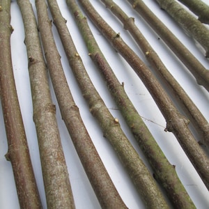 10 x 90cm 3ft Long Straight  Natural Sycamore Wood Branches Sticks Bark Wood Craft Art Decoration Wood Dowel Rods