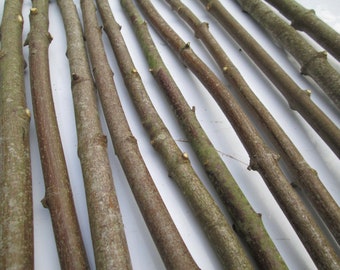 10 x 90cm 3ft Long Straight  Natural Sycamore Wood Branches Sticks Bark Wood Craft Art Decoration Wood Dowel Rods