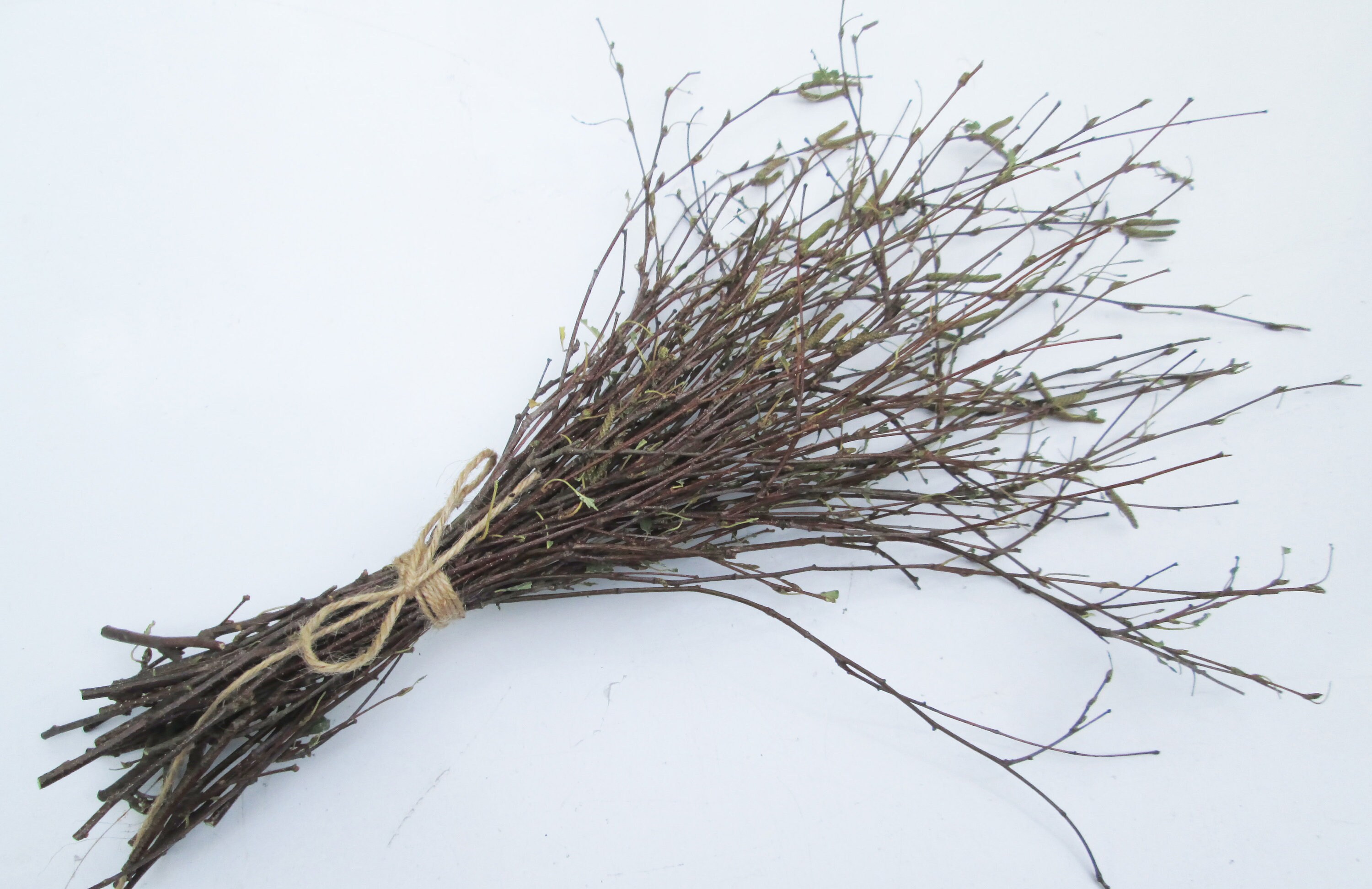 Natural Eco Birch Branch Bundle Bunch Birch Branches Etsy UK