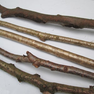 May include: Four different wooden branches, some with bark and some with a smooth, light brown finish. The branches are arranged horizontally on a white surface.