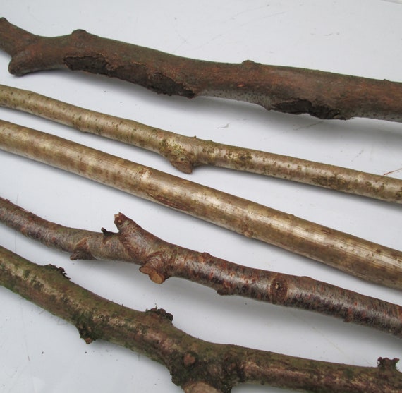 Wooden perches for budgies sales