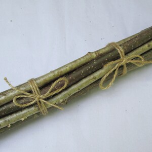Puede incluir: Un manojo de finas ramitas marrones atadas con cuerda. Las ramitas miden aproximadamente 25 cm de largo y tienen un aspecto natural y r&uacute;stico.