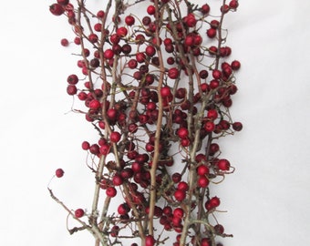 6 Dried Red Hawthorn Berry Branches – Natural Rustic Stems for Wreaths, Posies, Floristry, Boutonnieres