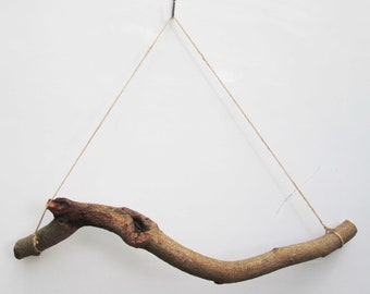 60cm Gnarly Beech or Oak Branch Hanger – Twisted Natural Stick with Jute Twine for Hanging Herbs, Flowers, Photos | Rustic Wall Decor