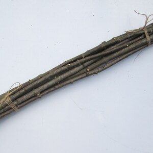 May include: A bundle of brown twigs tied together with twine. The twigs are about 12 inches long and are perfect for crafting.