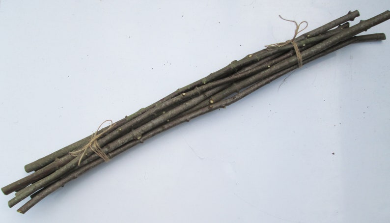 May include: A bundle of brown twigs tied together with twine. The twigs are about 12 inches long and are perfect for crafting.