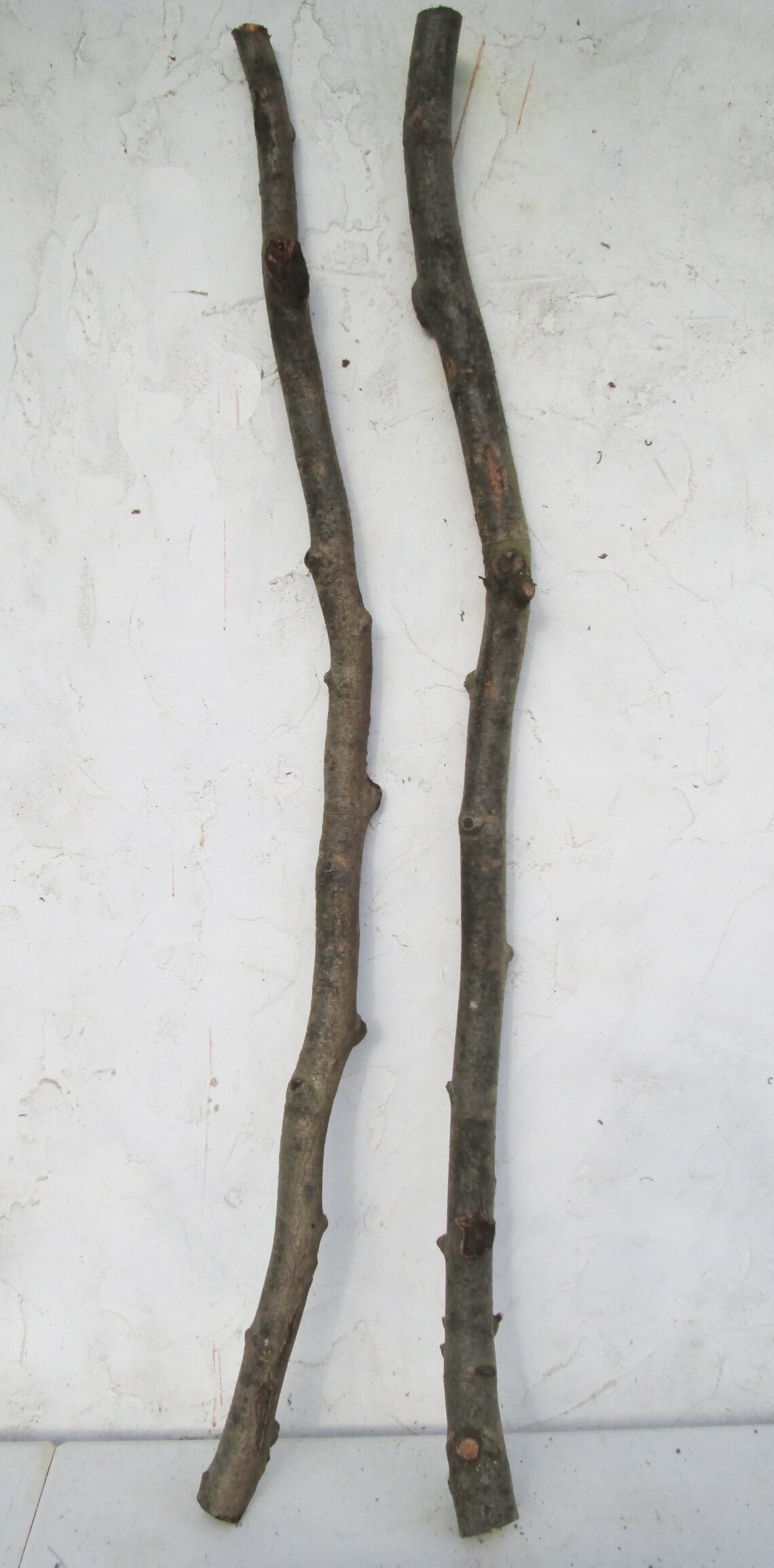120cm BEECH Natural Tree Crooked Branch Stick for Wood Turning Etsy
