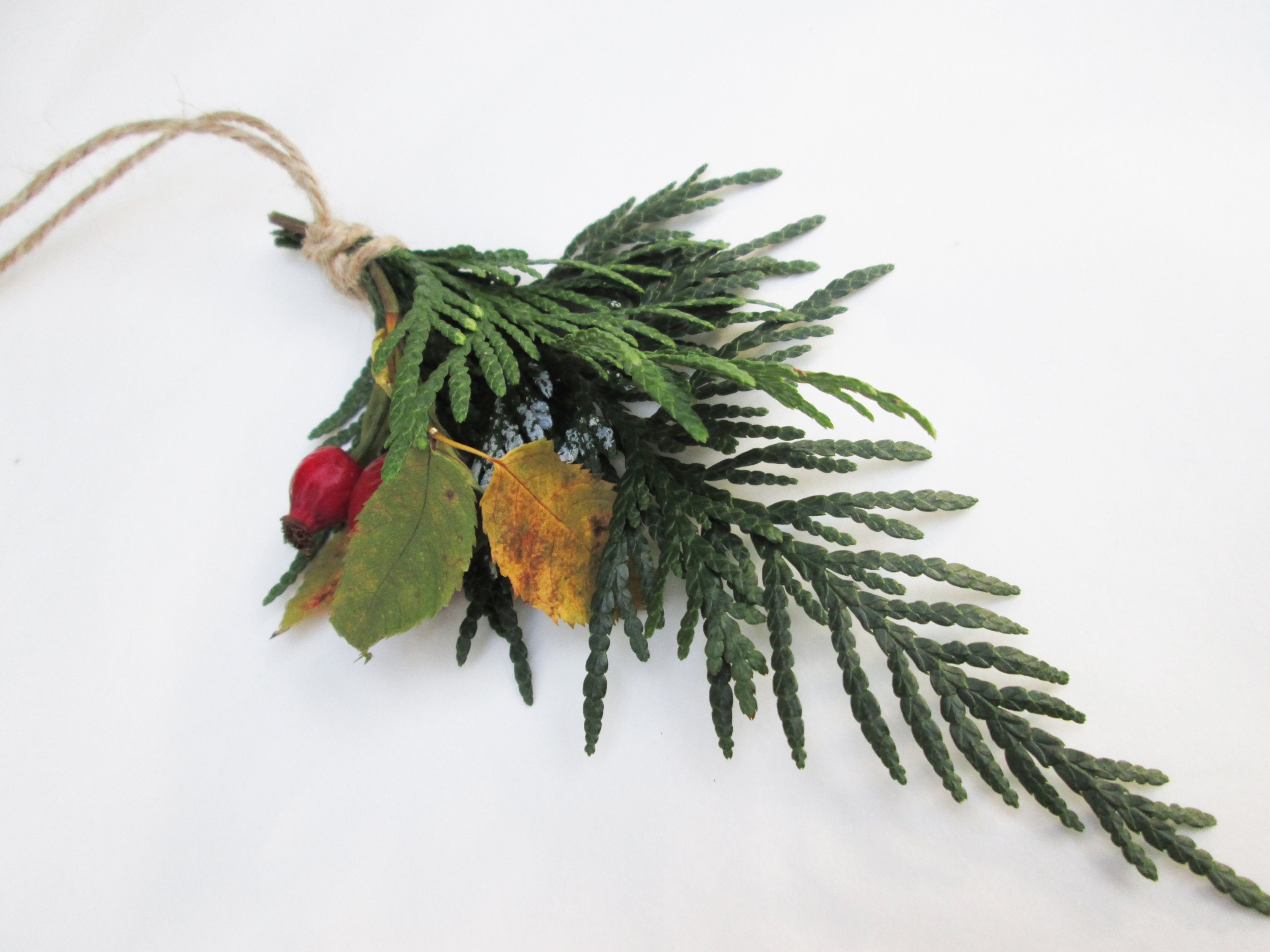 6 Natural Sustainable Eco Friendly Organic Biodegradable Xmas - Etsy UK