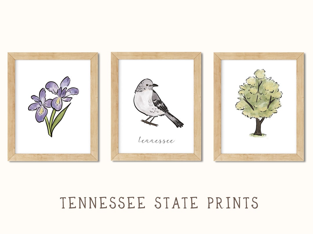 Tennessee State Wall Art Tennessee Prints Tennessee State Etsy