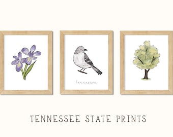 Kunstafdrukken Tennessee State Symbols: iris, spotvogel, tulp populier